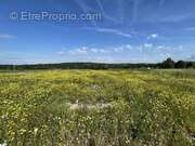 Terrain à FEYTIAT