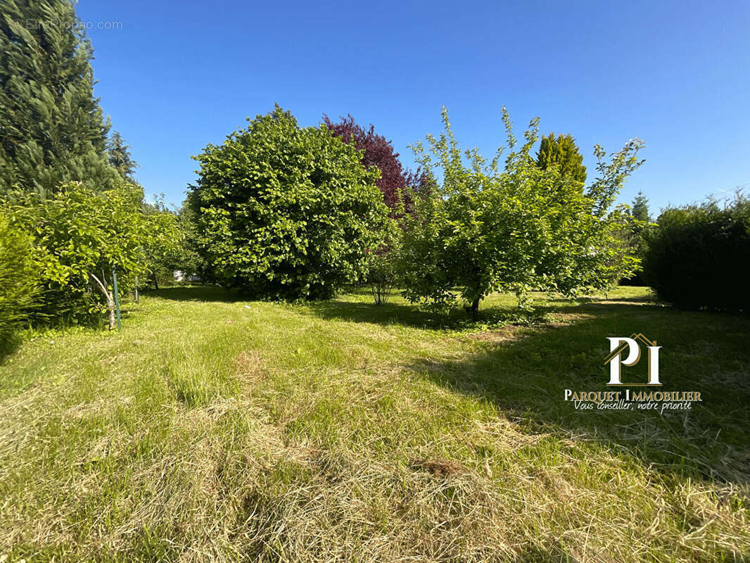 Terrain constructible à 5 km d'Albert ! - photo 3