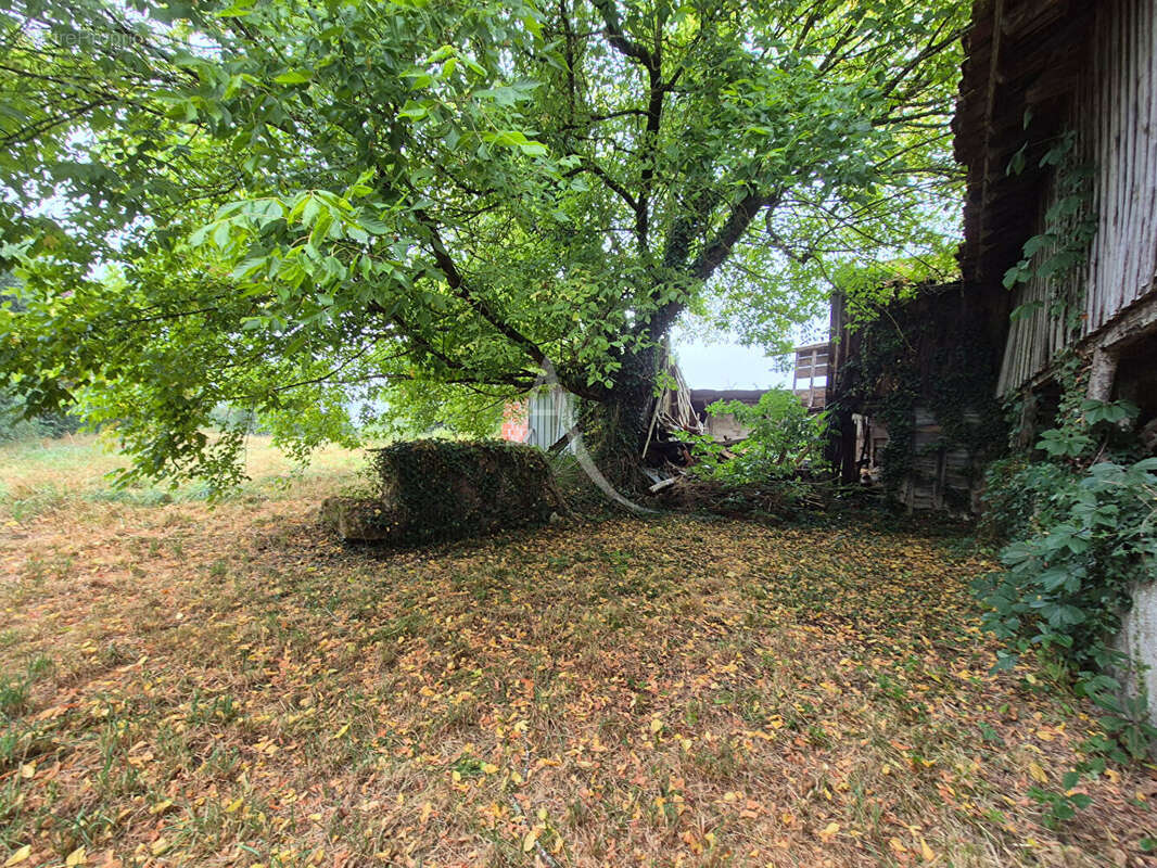 Villeneuve de  Marsan - photo 2