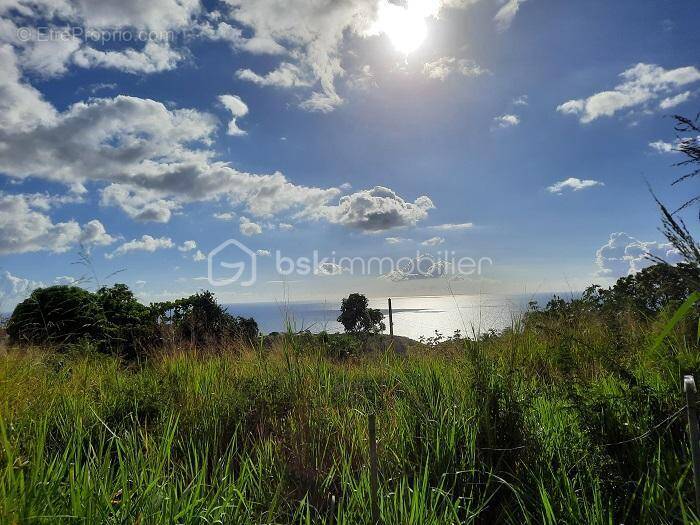 Terrain à VIEUX-HABITANTS