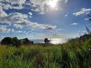 Terrain à VIEUX-HABITANTS