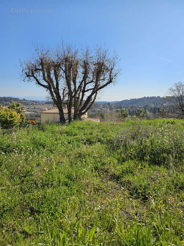 Terrain à VALBONNE