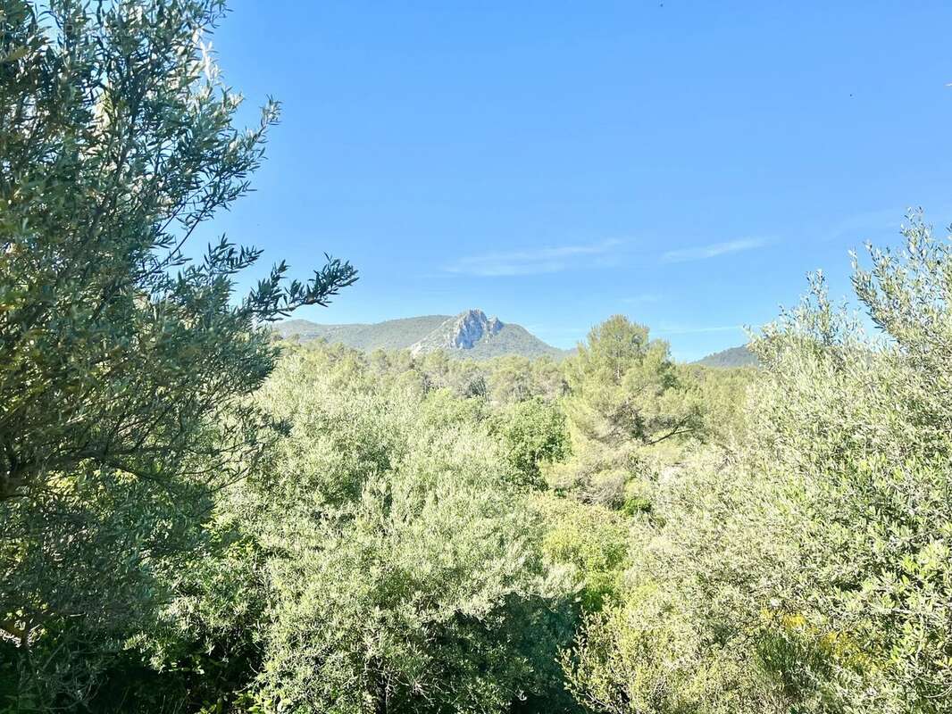 Maison à BRIGNOLES