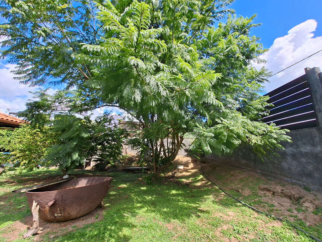 Maison à CASE-PILOTE