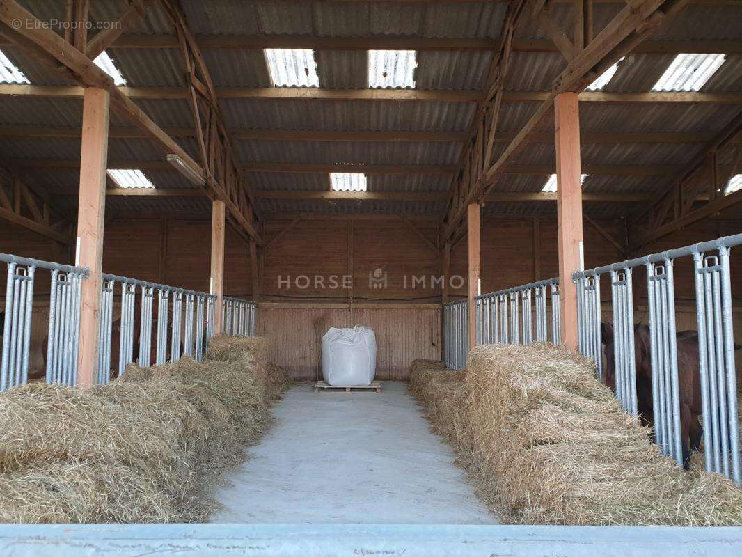 Maison à SAINT-GERMAIN-DE-LA-COUDRE