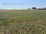Terrain à MORNAC-SUR-SEUDRE