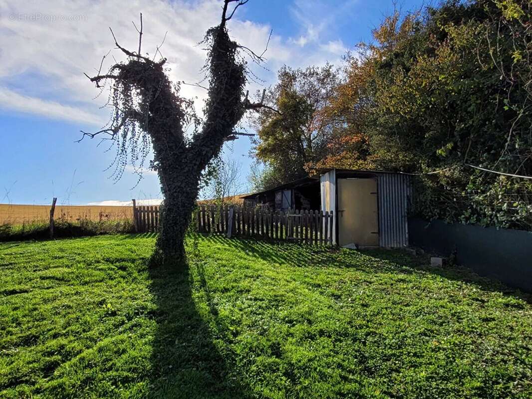 Maison à BRANSAT