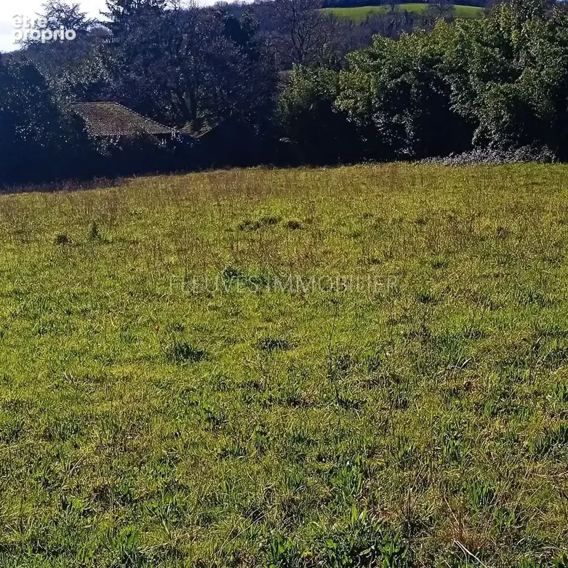 Terrain 3435 m² à Autevielle-Saint-Martin-Bideren  - photo 2