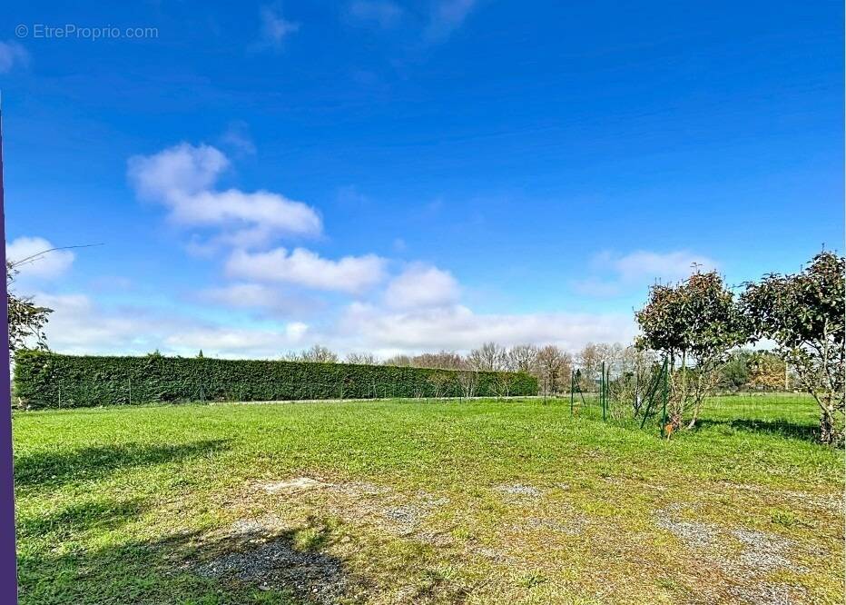 Terrain à LASSERRE