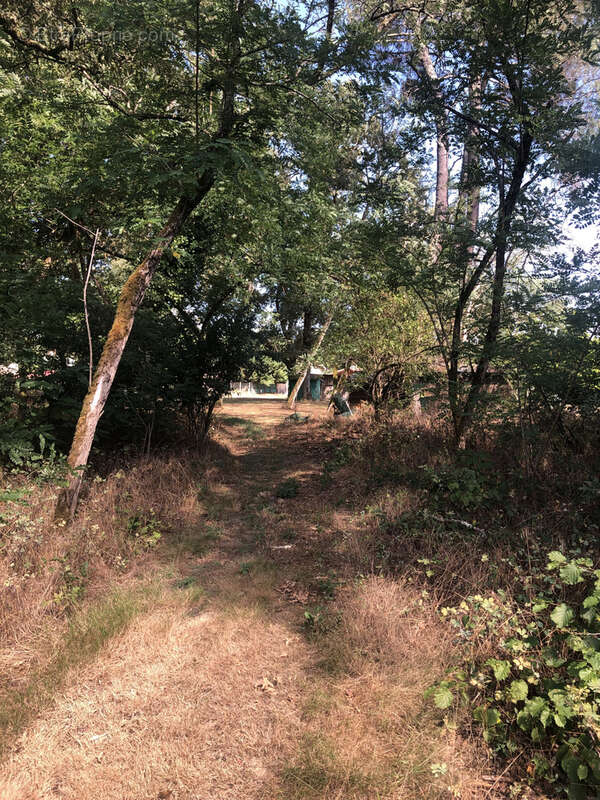 Maison à LERM-ET-MUSSET