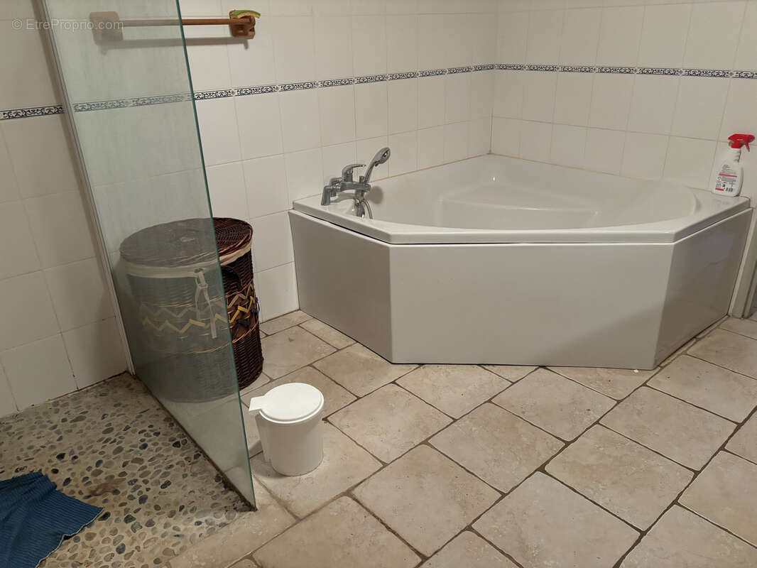 Maison à SAINT-VITE