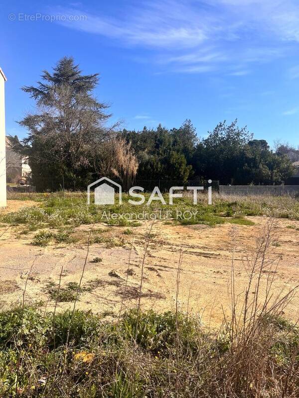 Photo 1 - Terrain à PLAISSAN