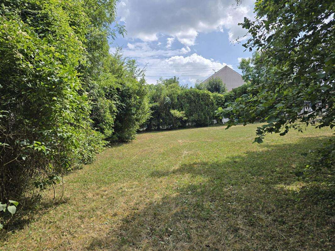 Terrain Palaiseau 853m² - possibilité création maison 140m² environ - photo 3