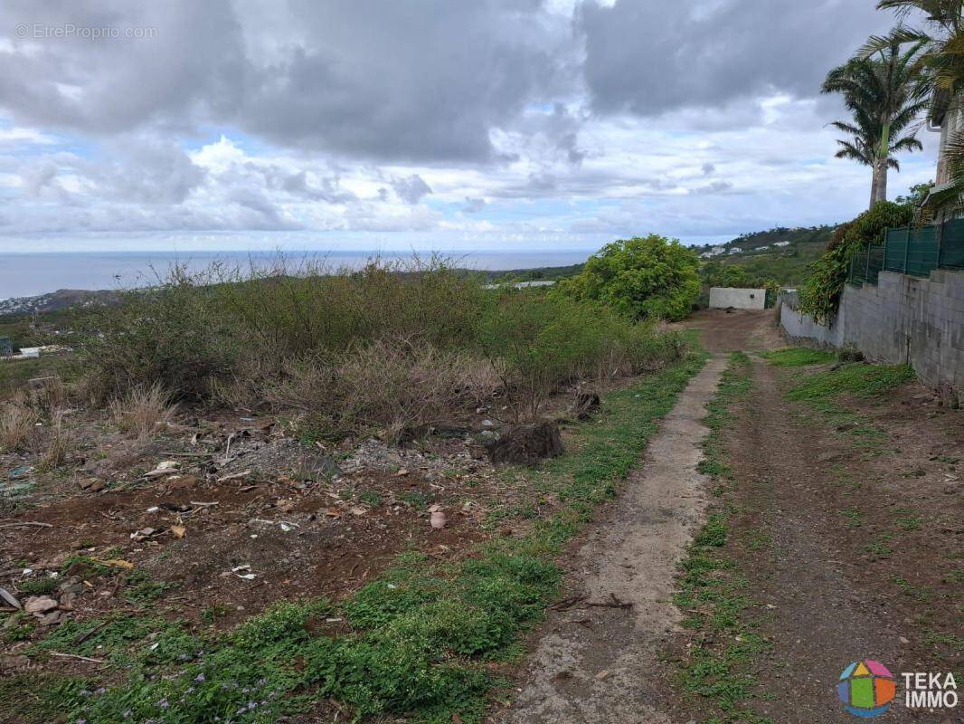 Terrain à SAINT-PAUL