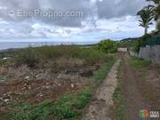 Terrain à SAINT-PAUL