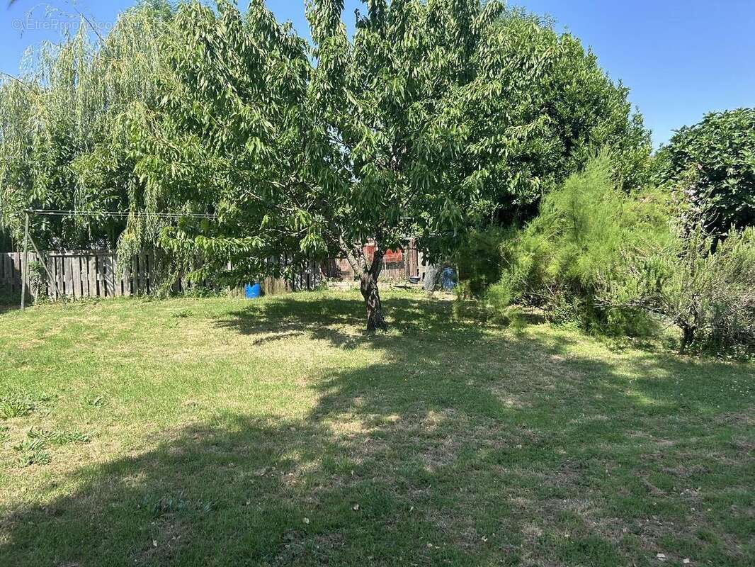 IMG0909 - Maison à NIORT