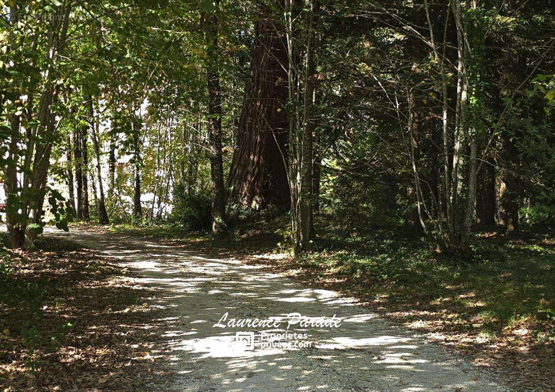 Maison à SAINT-FRONT-DE-PRADOUX