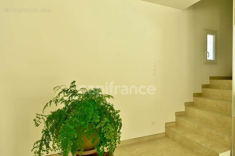 Maison à FONTVIEILLE