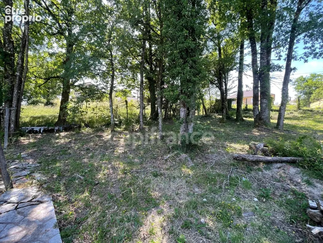 Maison de caractère avec piscine sur terrain arboré de 2452 m² JUGEALS NAZARETH (19) - photo 18
