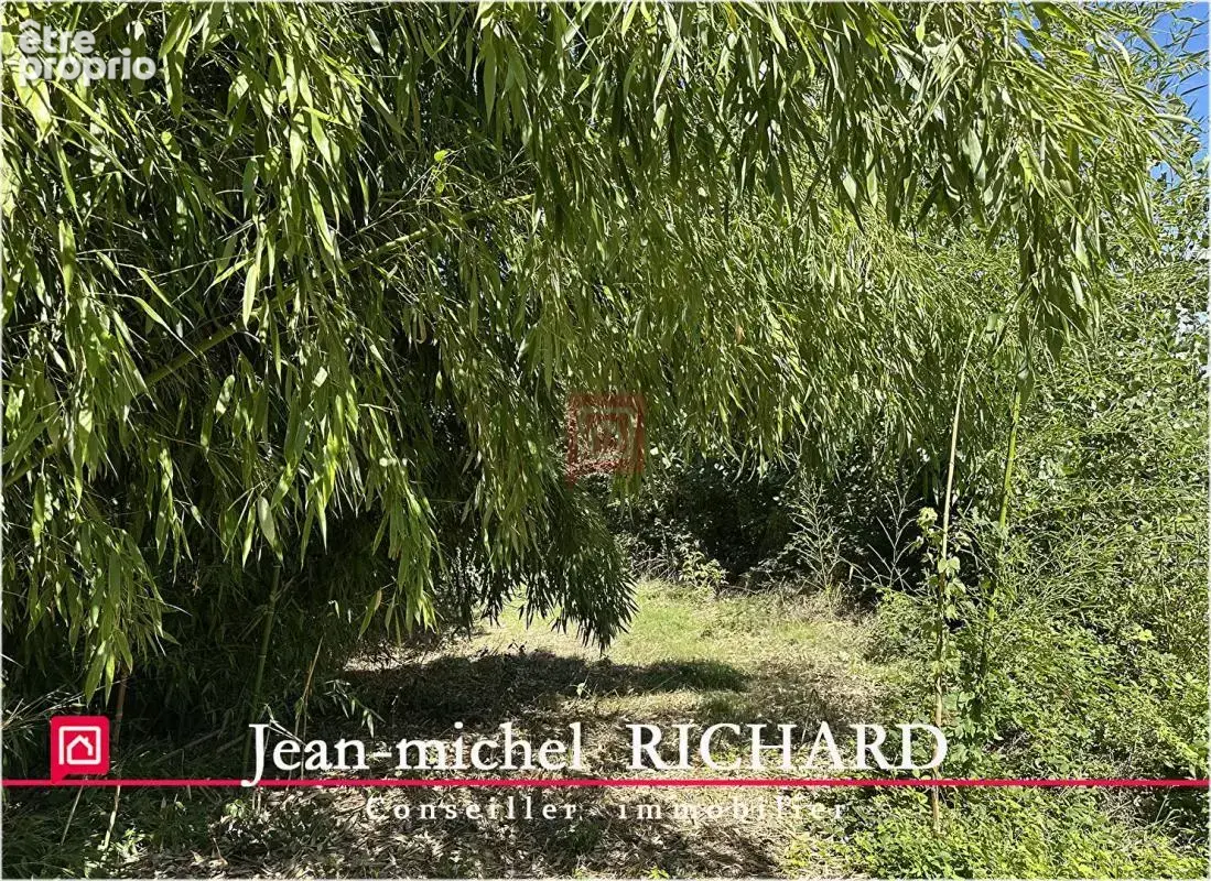 Terrain de loisirs Le Controis En Sologne 5624 m2 - photo 6