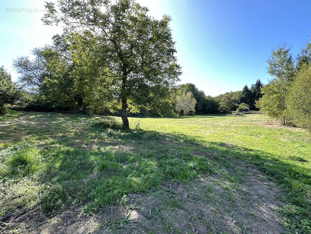Terrain à MANZAT