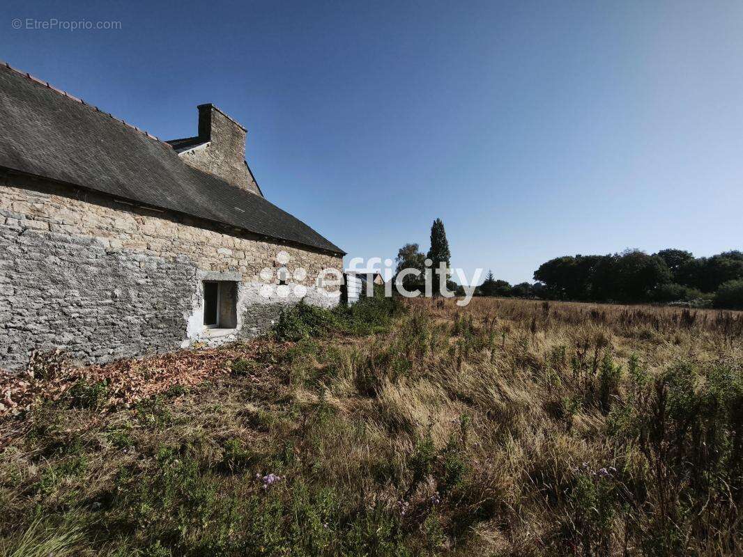 Maison 186 m² à Collinee  - photo 12