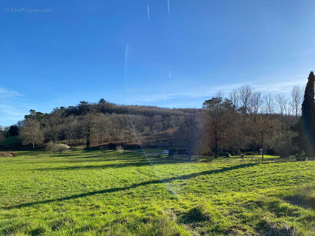 Terrain à SAINT-VINCENT-LE-PALUEL