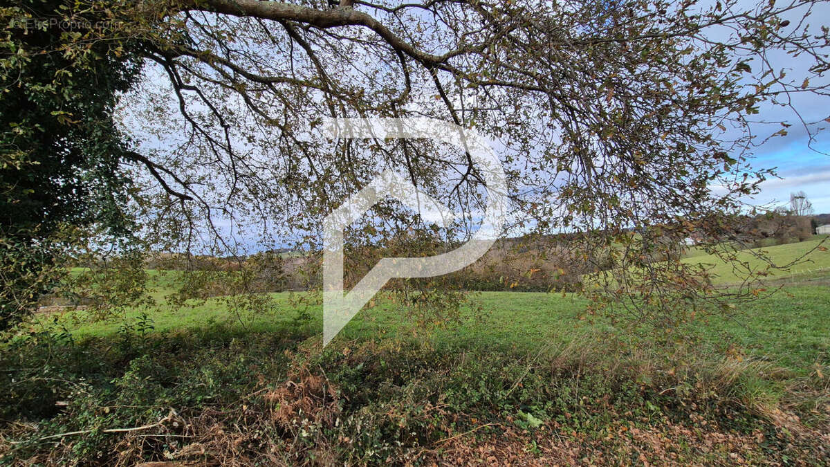 Terrain à SALIES-DE-BEARN