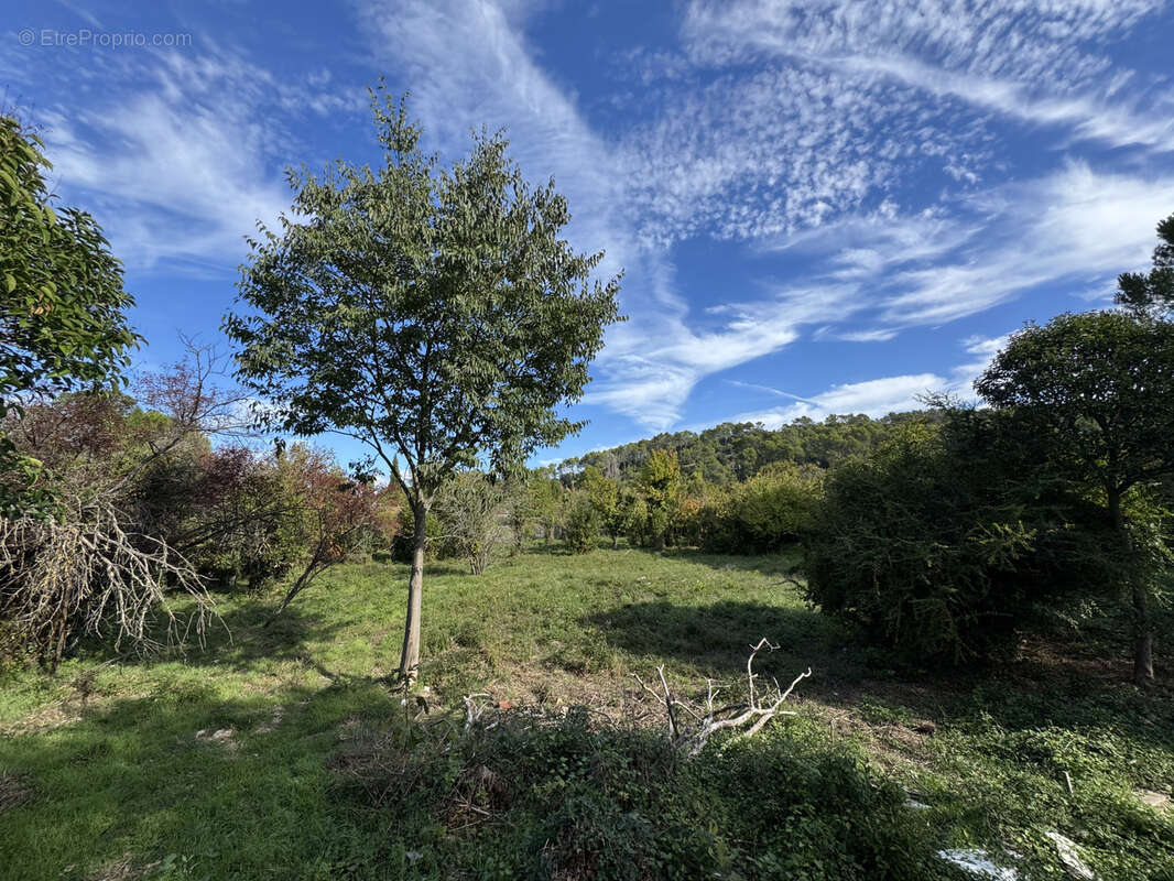 Terrain à CARNOULES