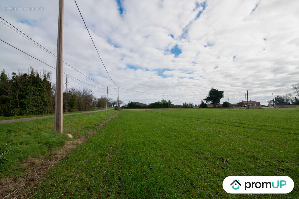 Terrain à SEMPESSERRE