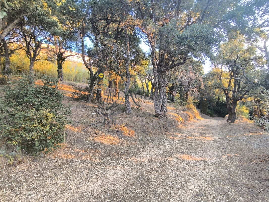 Propriete cardo - photo 7