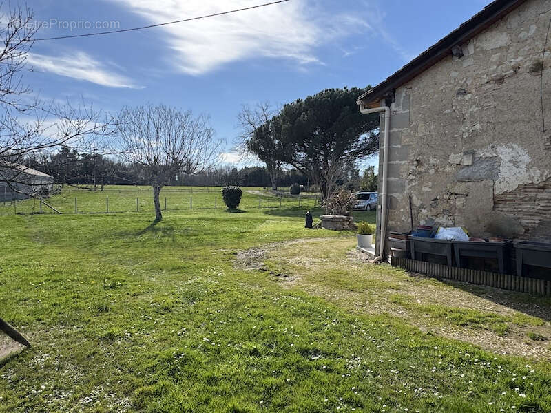 Maison de plain-pied avec grand jardin - photo 5