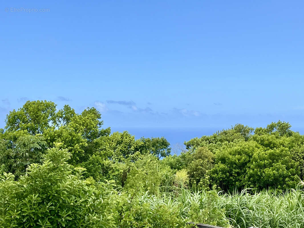 Maison à PETITE-ILE
