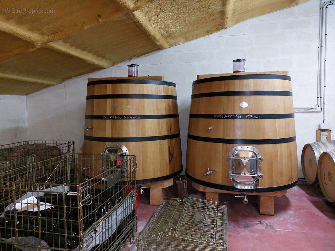Domaine viticole bio près de Cordes-sur-Ciel - photo 11