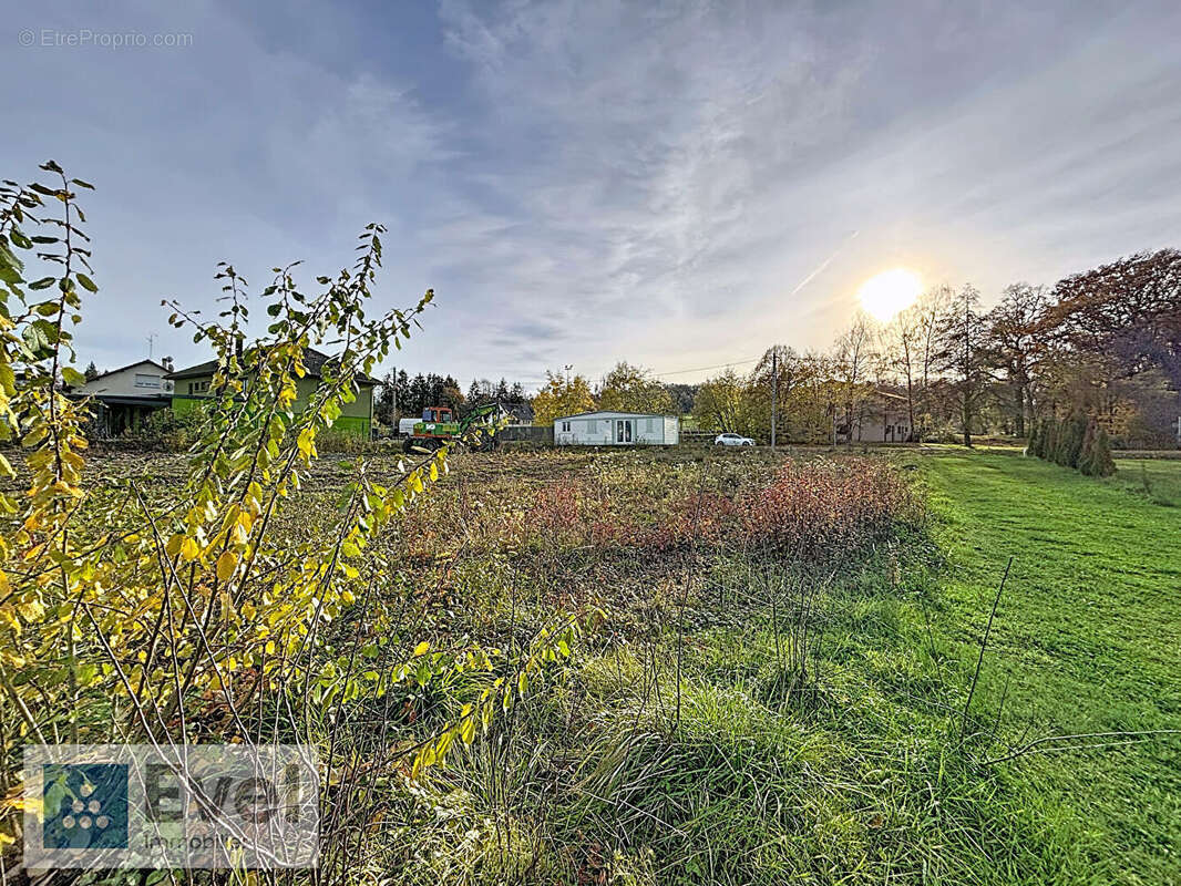 Terrain à BENESTROFF