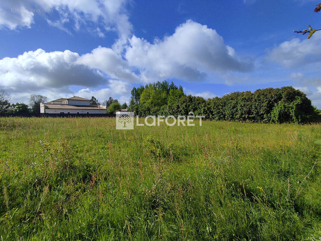Terrain à CASTELSARRASIN