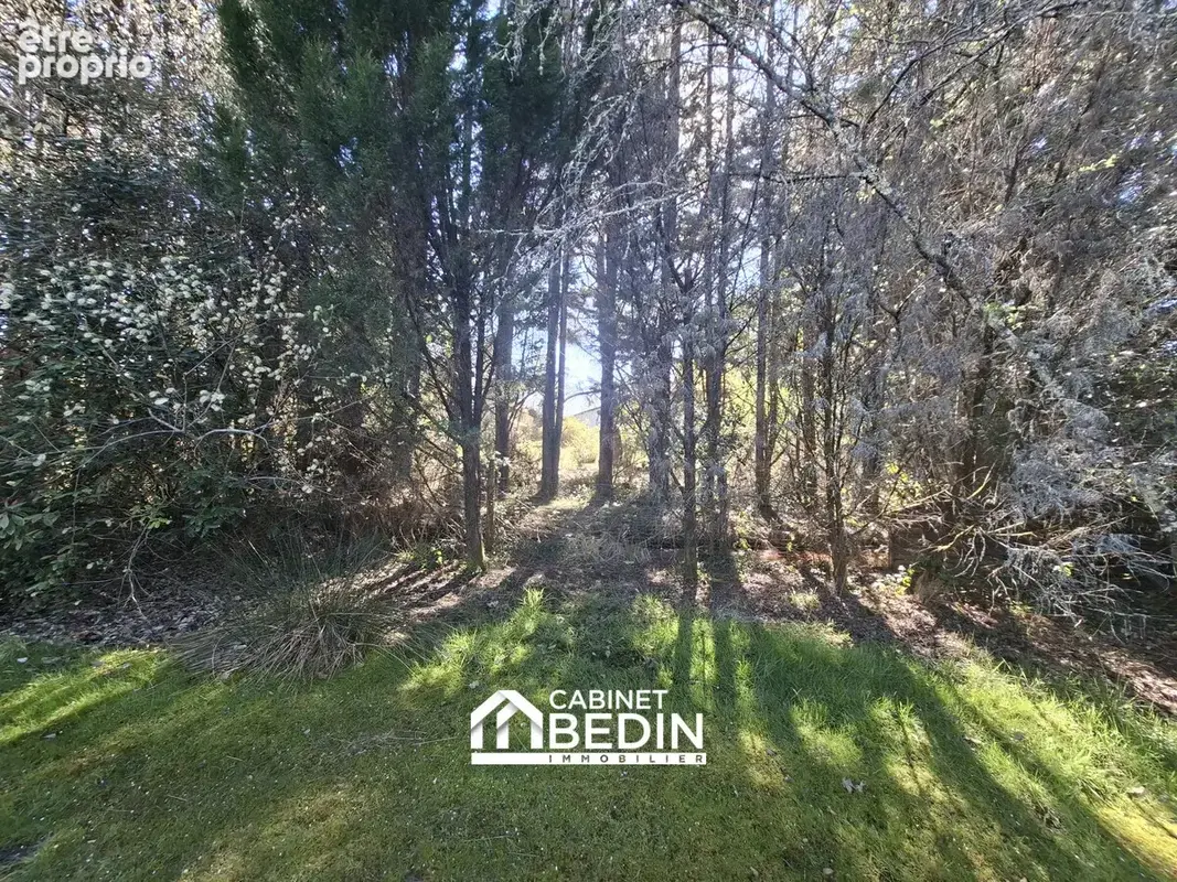 Maison 6 pièces 150 m² à vendre à La Brede (33650) - photo 6