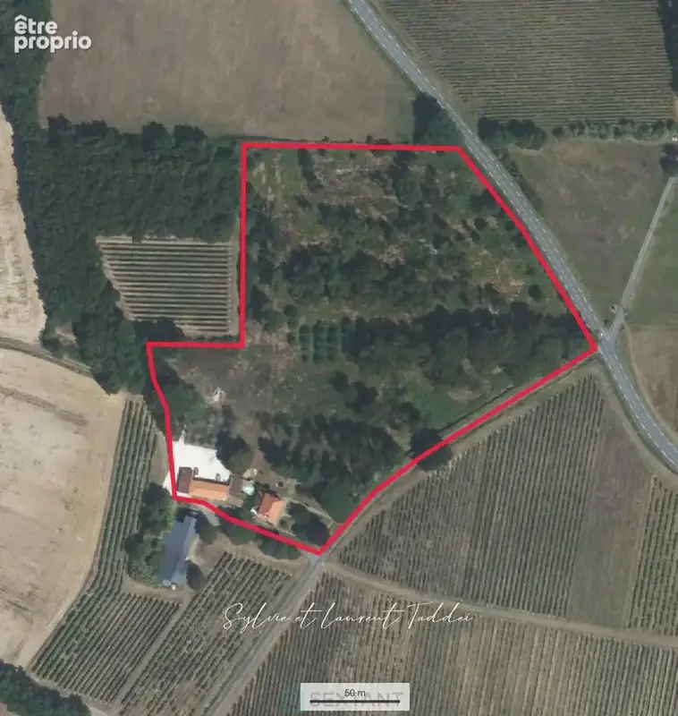 Maison bourgeoise en pierre renovee avec piscine, dependances et plus de 3,6 hectares de terrain - photo 19