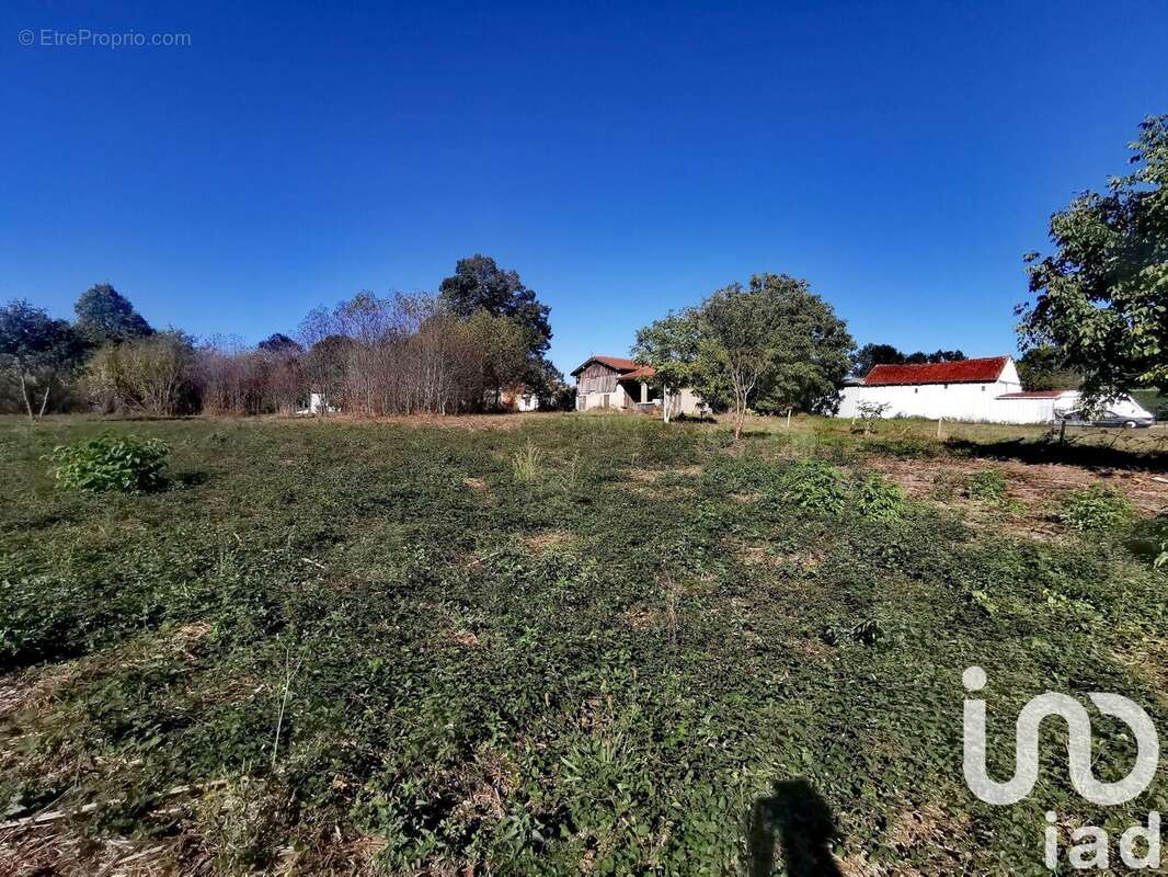 Photo 2 - Terrain à SAINT-MARTIN-D&#039;ARY