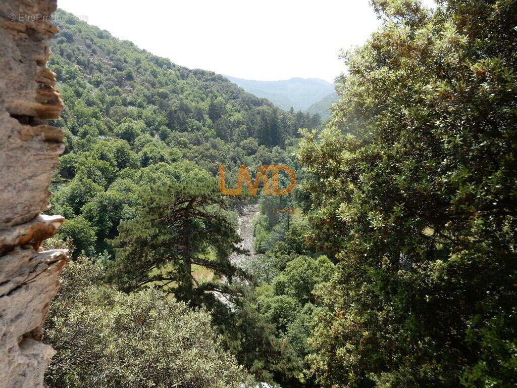 Maison en pierre - Vue panoramique - Terrain - photo 15