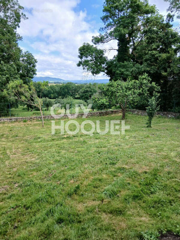 Maison à SAINT-GEORGES-D&#039;AURAC