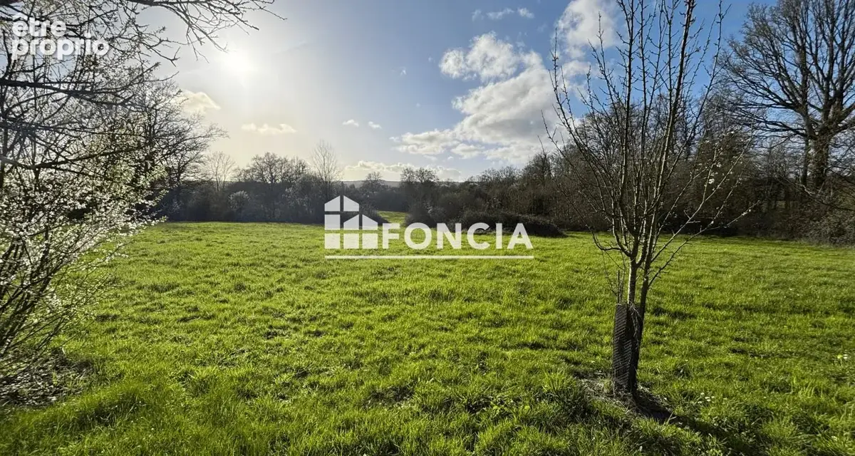 Longère avec dépendances et plus de 2 hectares - photo 5