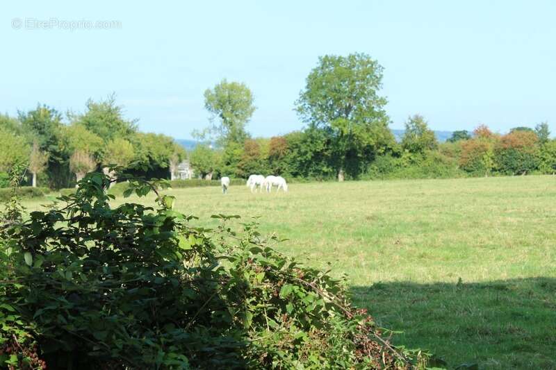 Maison à SAINT-ETIENNE-LA-THILLAYE