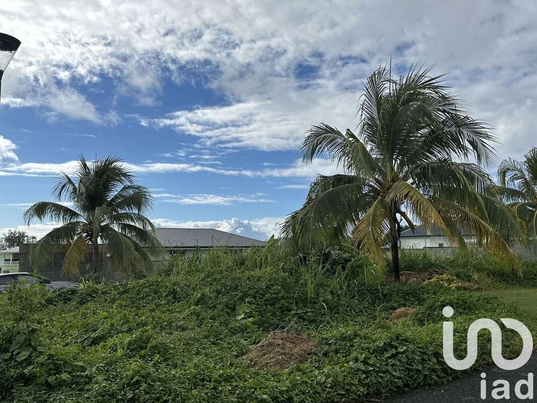 Photo 2 - Terrain à CAPESTERRE-BELLE-EAU