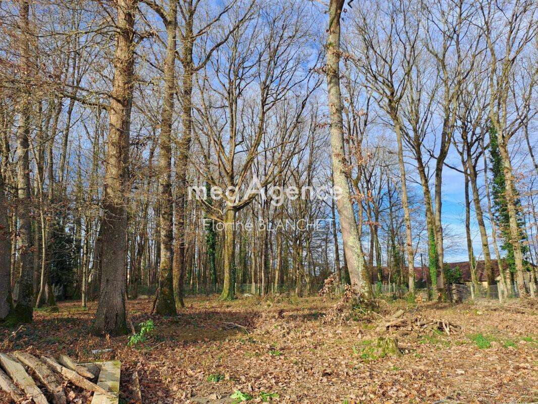 Maison à SAVIGNE-L'EVEQUE