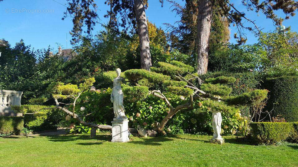 Mulhouse rebberg hauteurs - photo 5