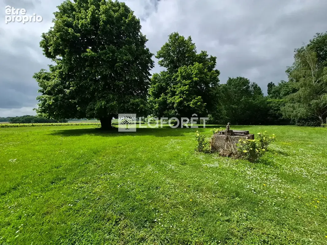 Maison en pierre avec garage, dépendances et vaste terrain au calme - photo 2