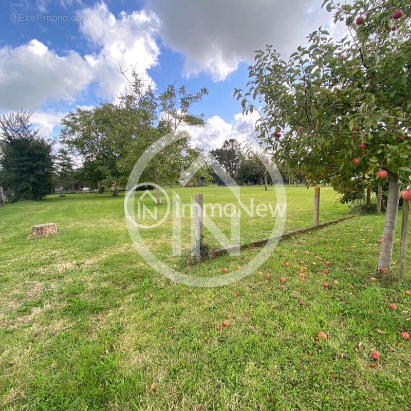TERRAIN de 2416m2 en partie constructible sur la commune de YQUELON - photo 5