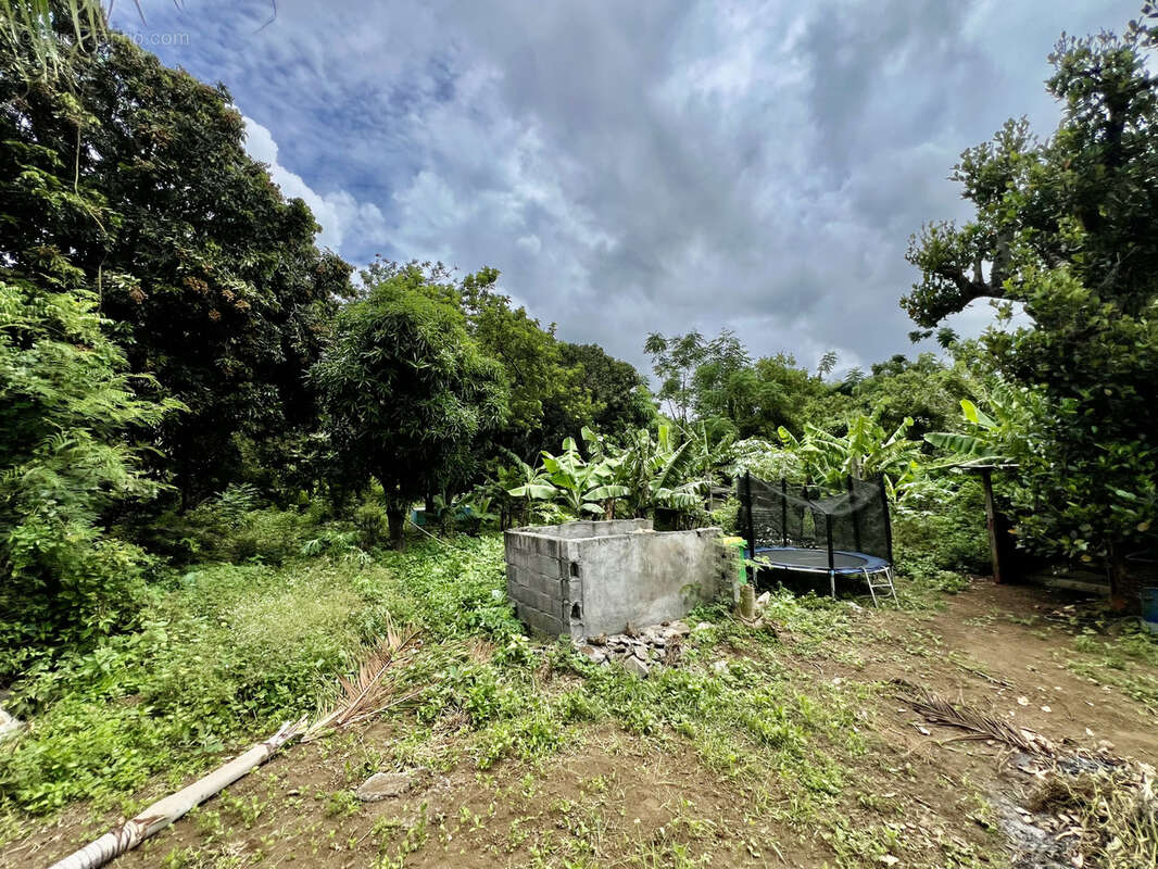 Maison à SAINT-PIERRE