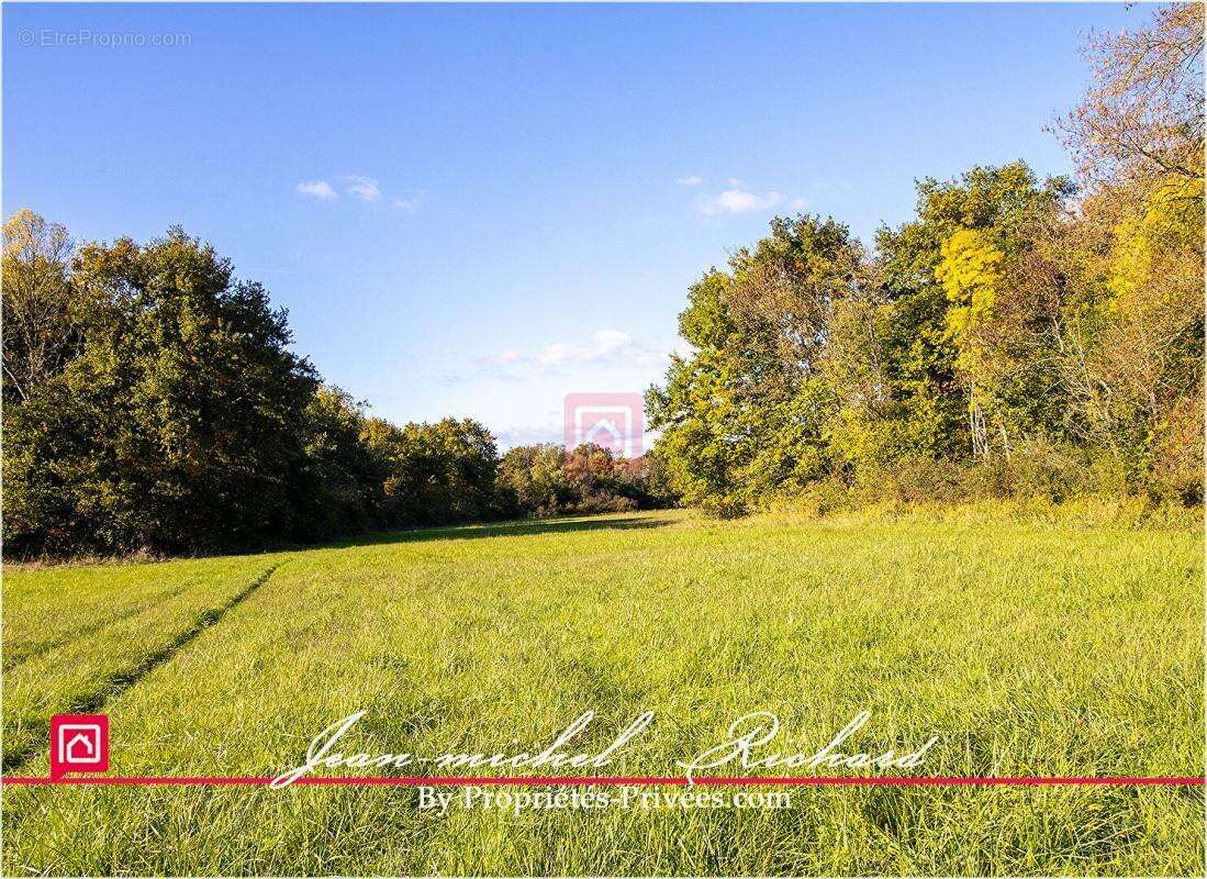Terrain à GY-EN-SOLOGNE